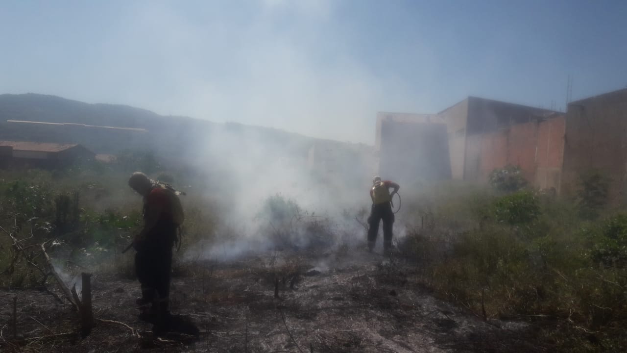 Corpo de Bombeiros debela incêndios em vegetação em Fortaleza e Juazeiro do Norte