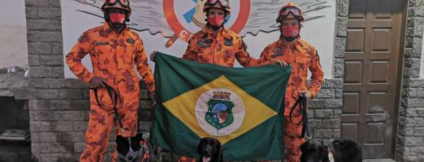 Cães de Busca e Resgate do Corpo de Bombeiros alcançam Certificação Nacional, na cidade de Magé/RJ