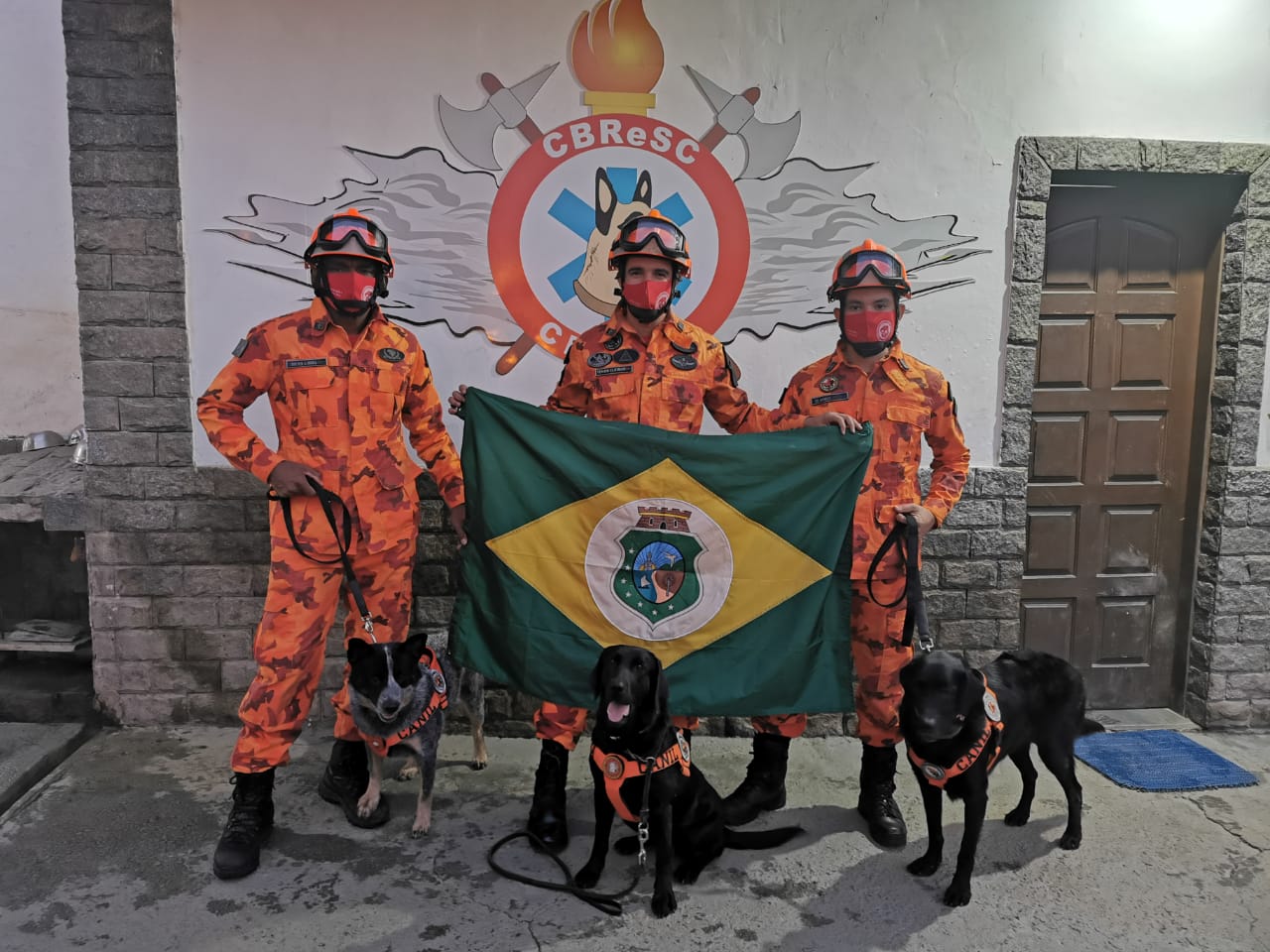 Cães de Busca e Resgate do Corpo de Bombeiros alcançam Certificação Nacional, na cidade de Magé/RJ