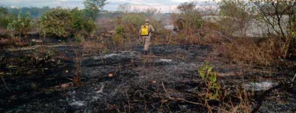 Corpo de Bombeiros atua em incêndio na vegetação em Quixadá