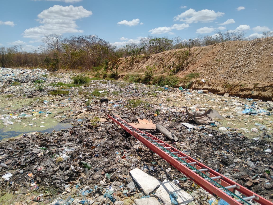 CBMCE resgate de cachorro em lixão