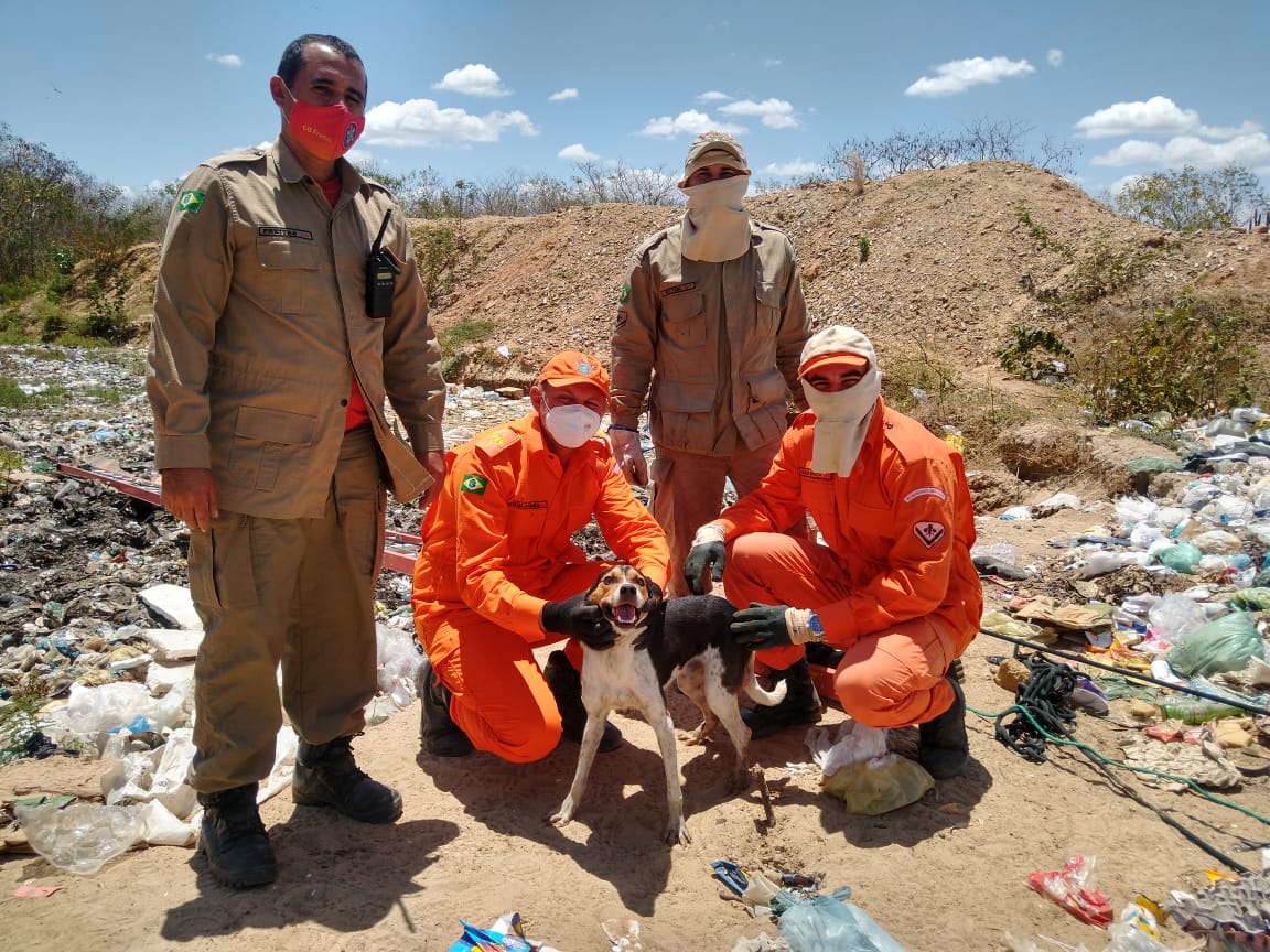 Corpo de Bombeiros resgata cachorro de um lixão em Tabuleiro do Norte