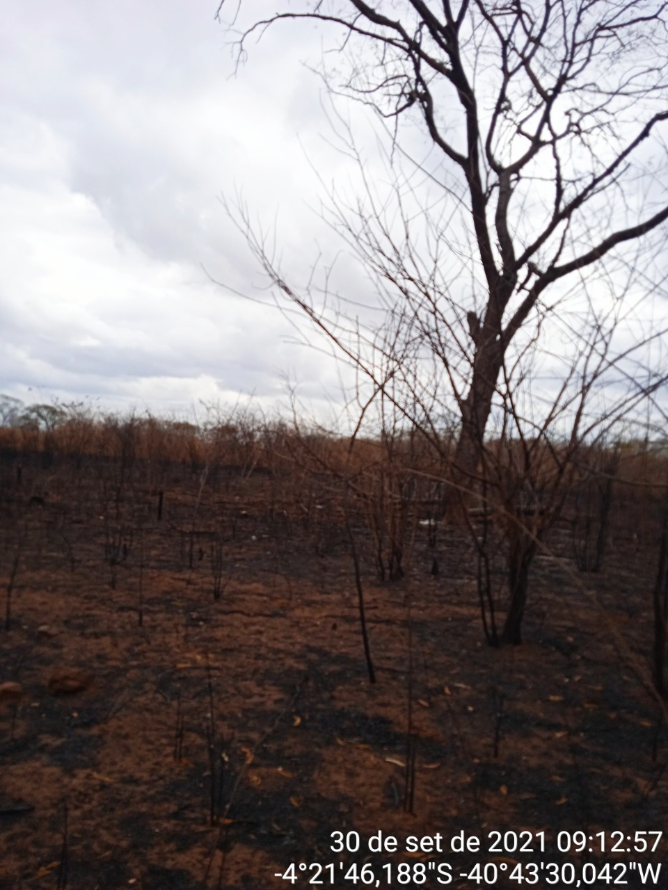 Defesa Civil informa que 40 municípios encontram-se em Situação de Emergência no Ceará