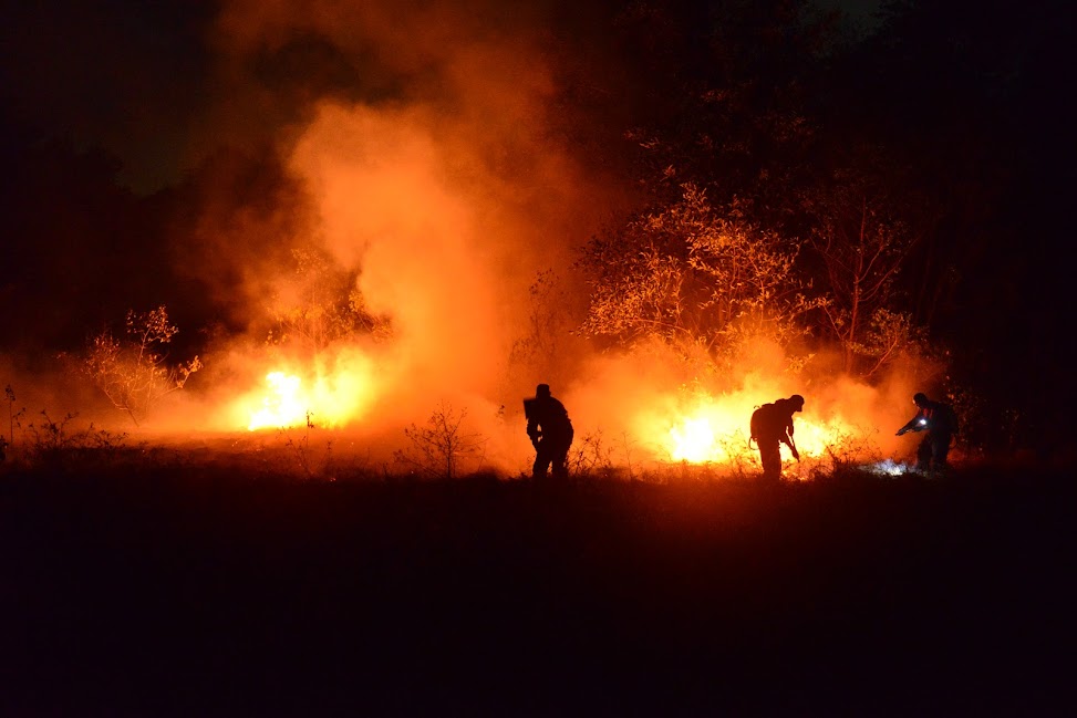 Corpo de Bombeiros controlam incêndio no Cocó