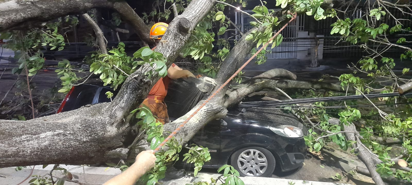 Corpo de Bombeiros libera rua interditada por árvore caída