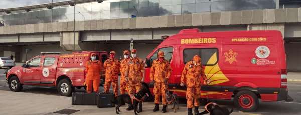 Corpo de Bombeiros do Ceará envia militares, cães e equipamentos para Petrópolis (RJ)