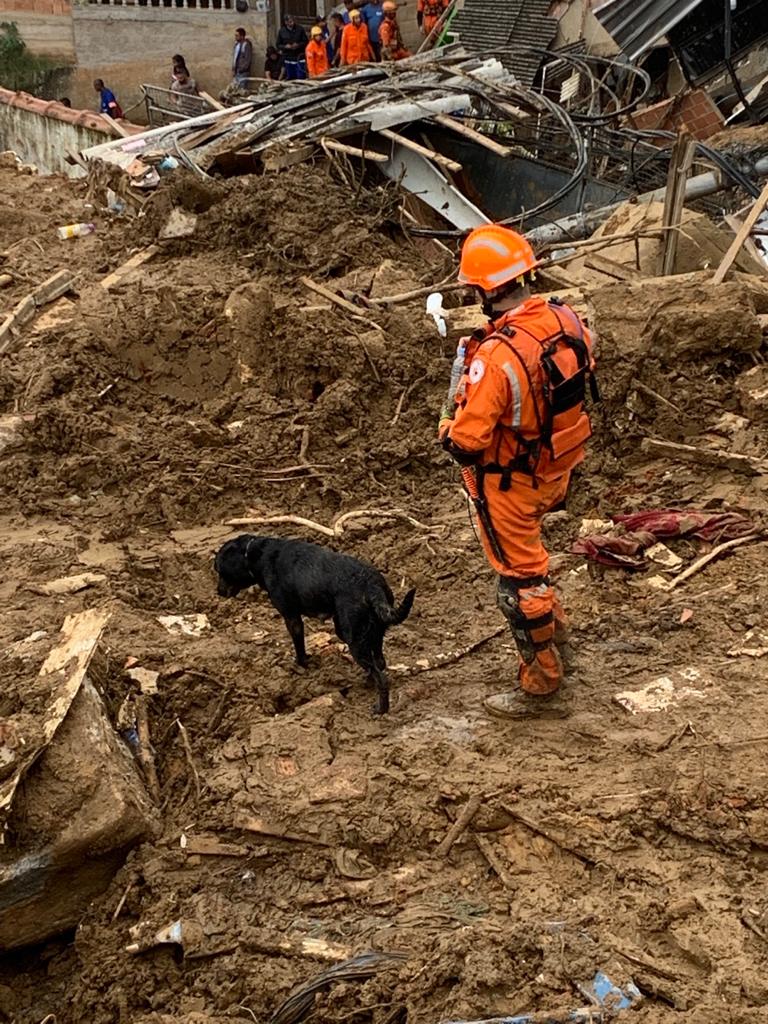 Corpo de Bombeiros Militares de vários Estados do Brasil trabalham de forma  integrada em Petrópolis