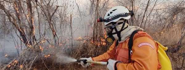 Corpo de Bombeiros apresenta balanço do 1º quadrimestre em relação a incêndio em vegetação