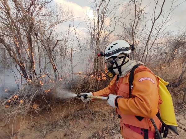 Corpo de Bombeiros apresenta balanço do 1º quadrimestre em relação a incêndio em vegetação