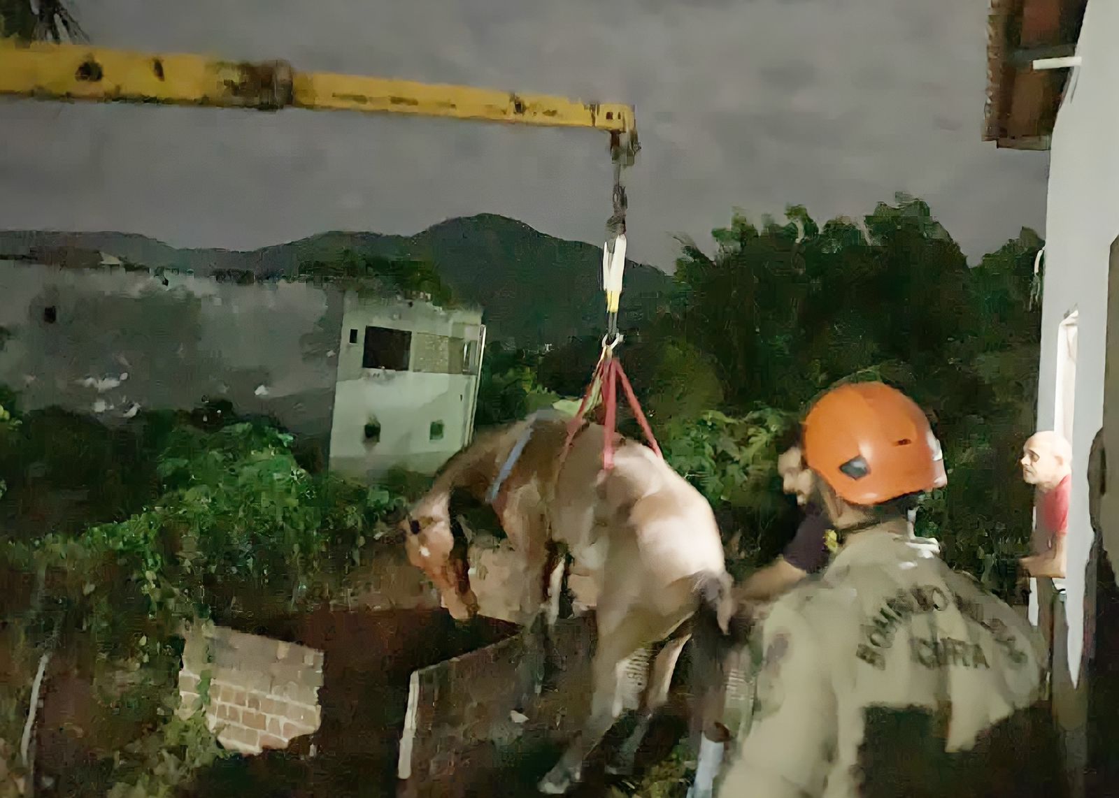 Corpo de Bombeiros resgata cavalo de laje de residência abandonada em Itapipoca