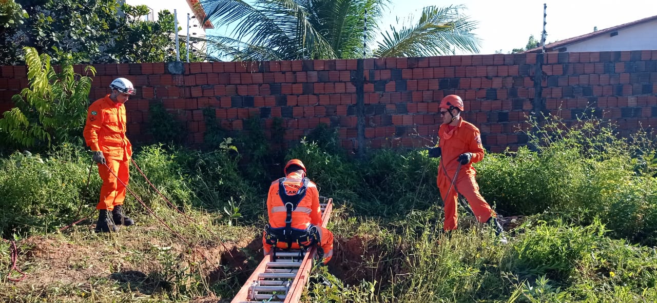 Corpo de Bombeiros captura cascavel de 1m em área residencial em