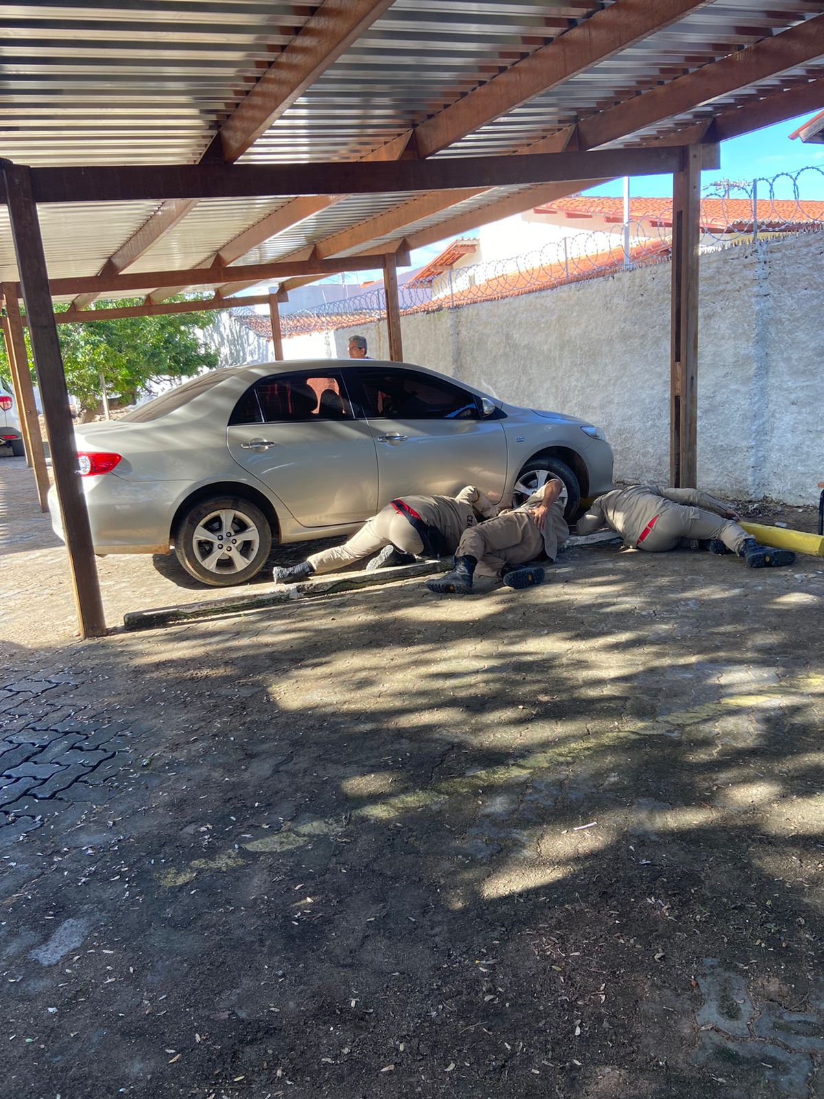 Corpo de Bombeiros resgata duas cobras corre campo de veículo em Iguatu