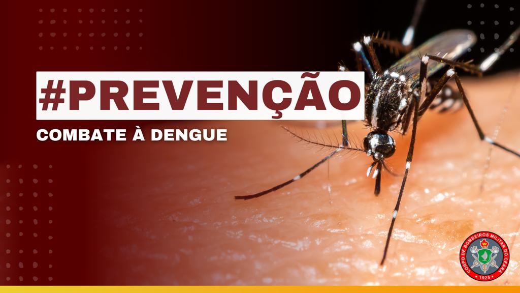Corpo de bombeiros do Ceará: Um pouco mais sobre combate a dengue