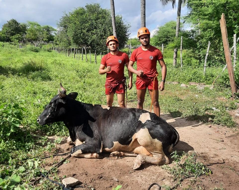 Corpo de Bombeiros resgata vaca de cacimba na cidade de Quixadá