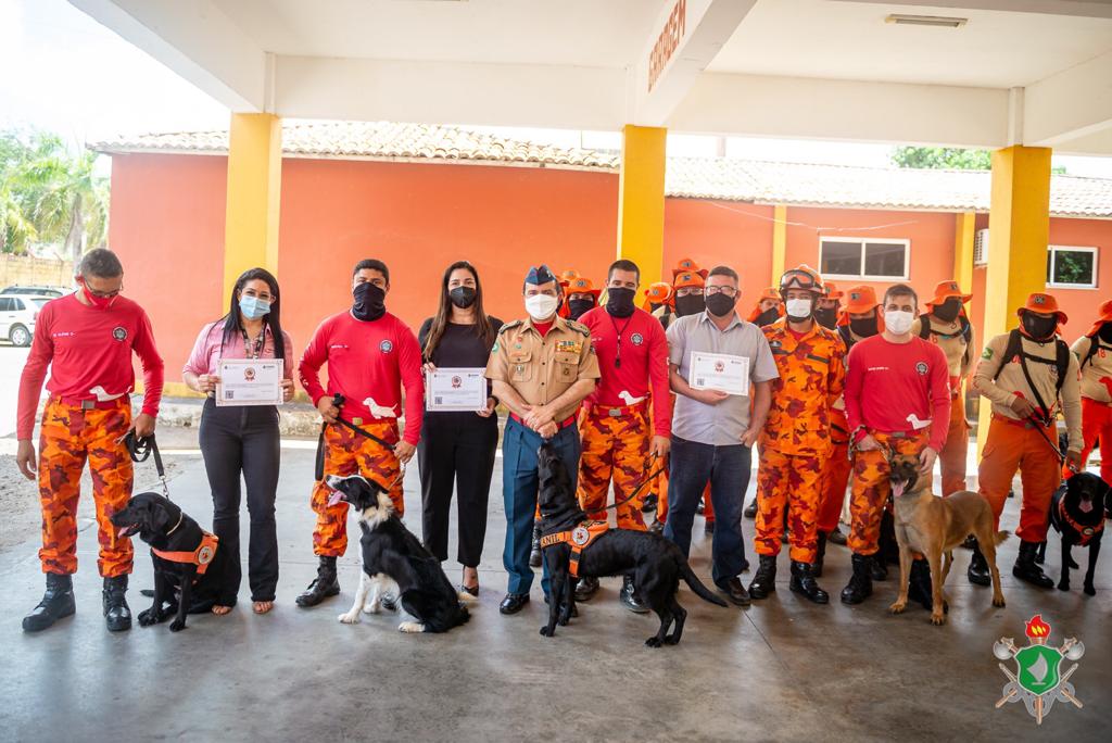 Certificado Amigo do Herói 4 Patas Bombeiro