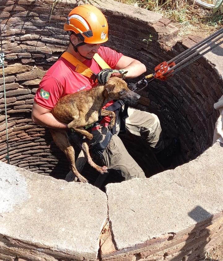 Corpo de Bombeiros resgata cachorro que caiu em cacimba em Canindé