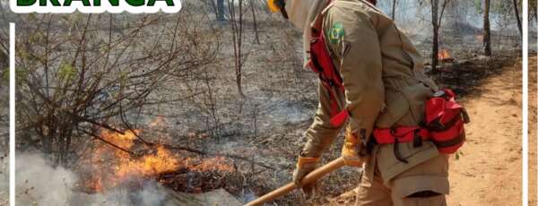 Corpo de Bombeiros divulga boletins da Operação Floresta Branca