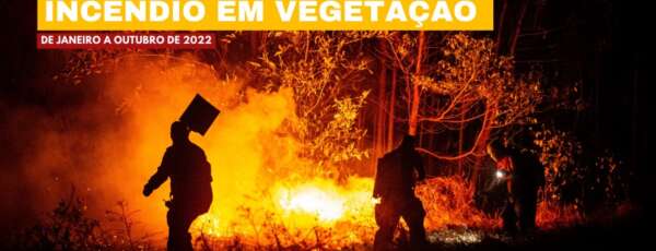 Corpo de Bombeiros apagou 3.836 incêndios em vegetação em 2022
