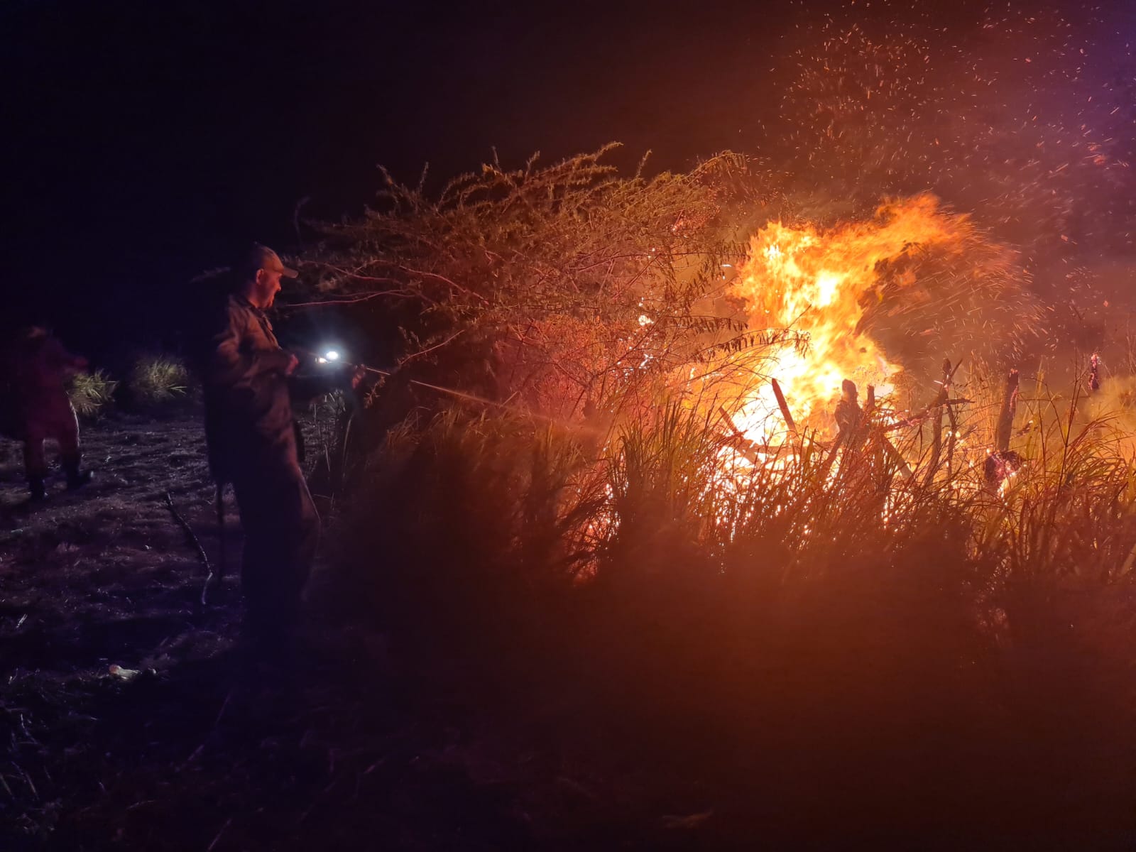 Corpo de Bombeiros apaga incêndio em vegetação em Beberibe