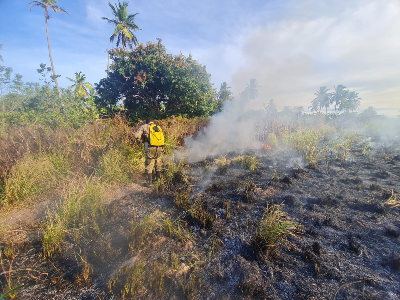 Corpo de Bombeiros apaga incêndio em vegetação em Beberibe