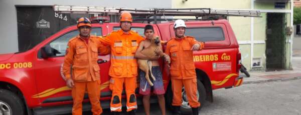 Corpo de Bombeiros resgata cadela entre paredes em Itapipoca