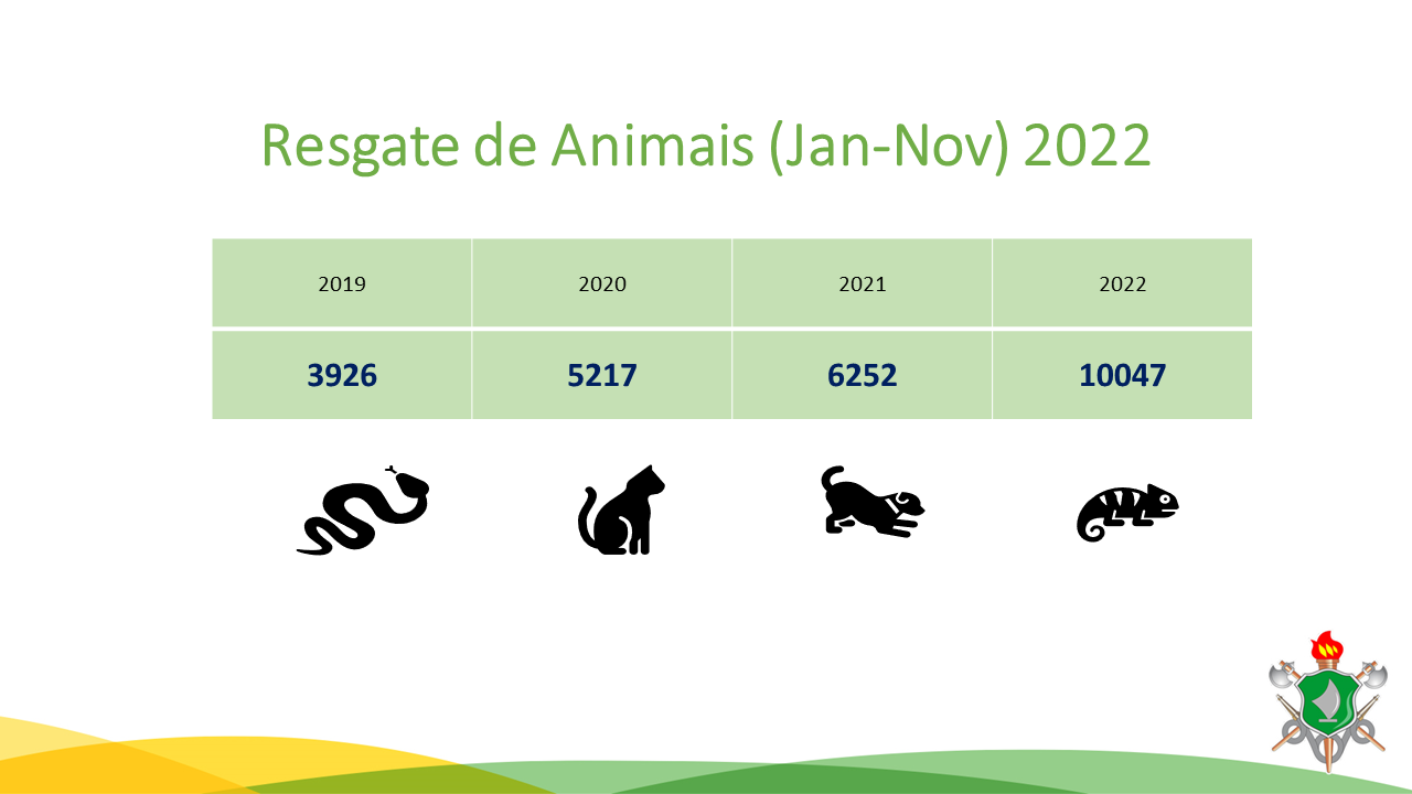 Resgate de animais 2022 - janeiro a novembro