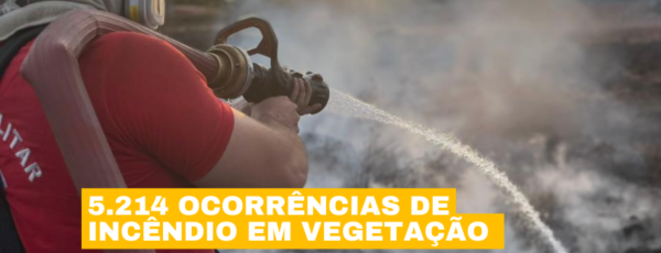 Corpo de Bombeiros debelou 5.214 incêndios em vegetação em 2022