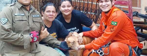 Corpo de Bombeiros resgata cadela em Pindoretama