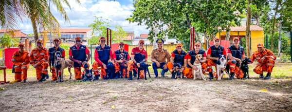 Corpo de Bombeiros do Ceará realiza torneio de cães de resgate