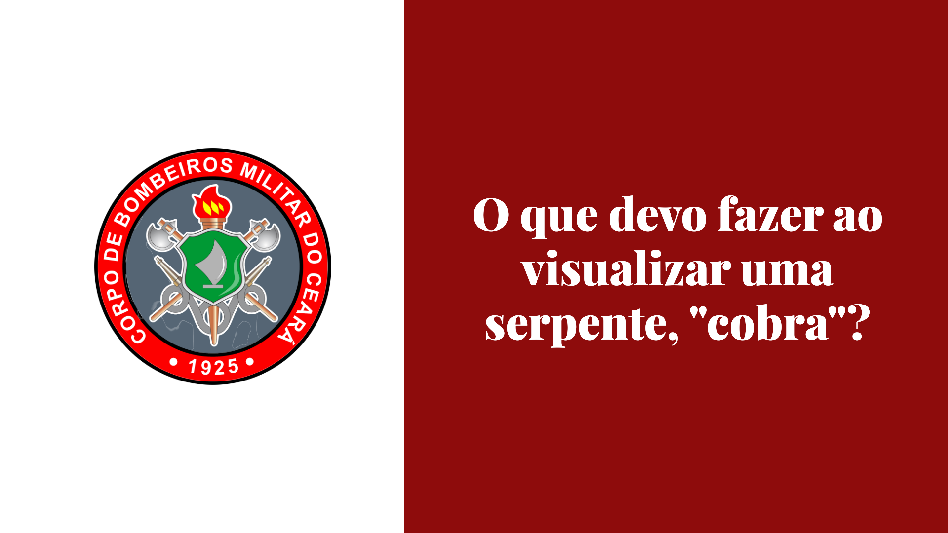 O que devo fazer ao visualizar uma serpente, cobra?