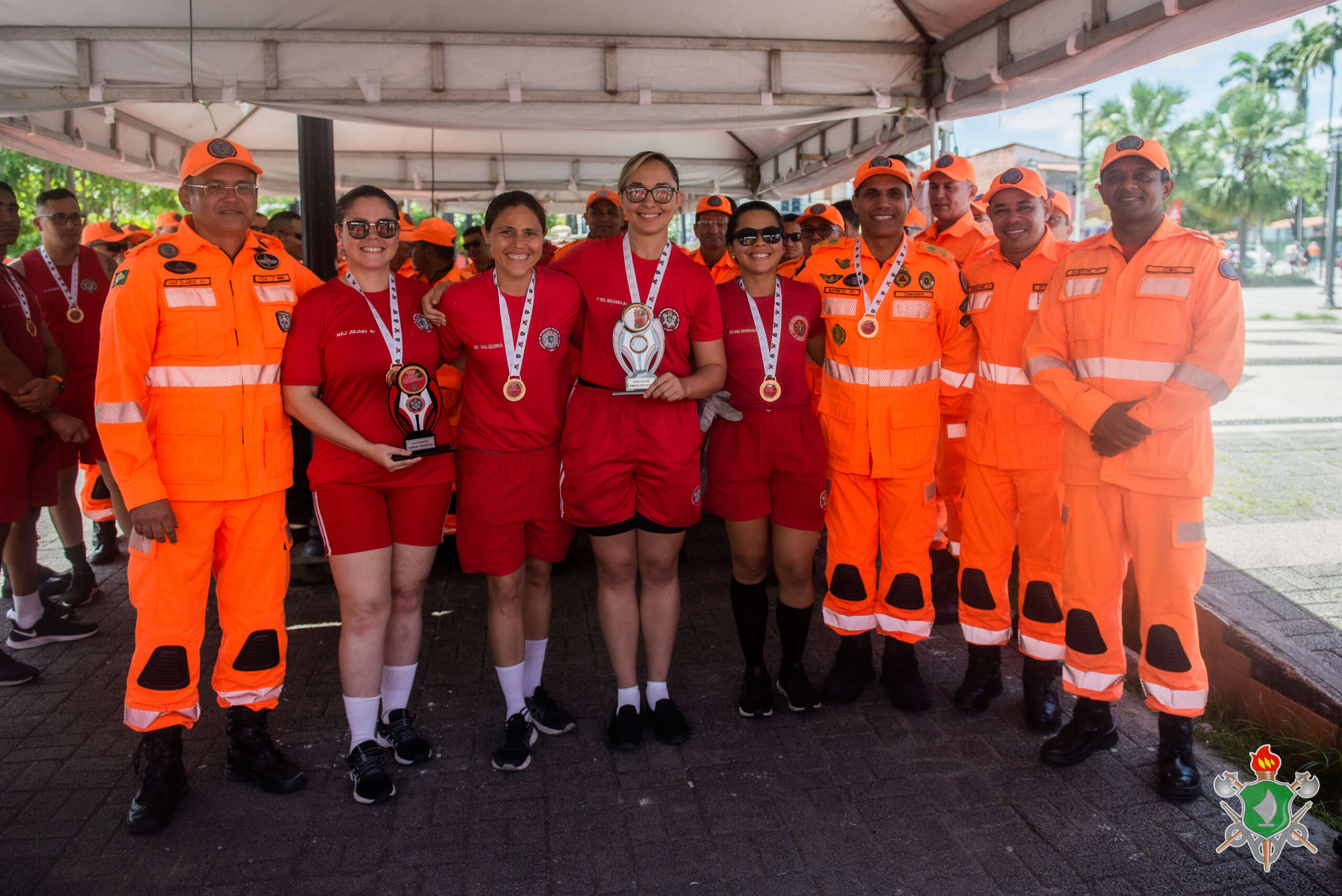 Moeda De Desafio Para Bombeiros - 5 Peças Patrióticas Com Machado