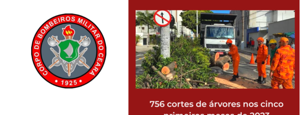 Corpo de Bombeiros cortou 756 árvores em perigo nos cinco primeiros meses do ano