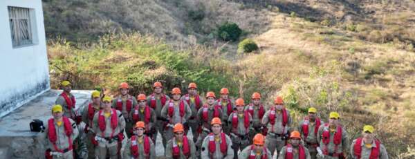 Incêndio florestal na Colina do Horto é combatido pelo CPCIF