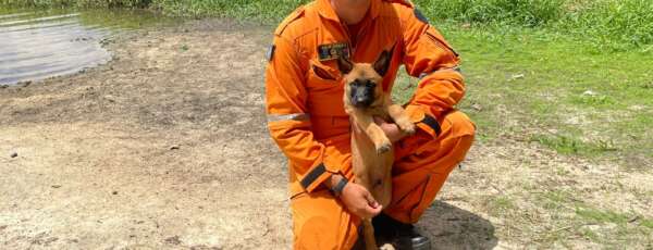 Bombeiro da CBCÃES pronto para treinar novo cão de Resgate do CBMCE
