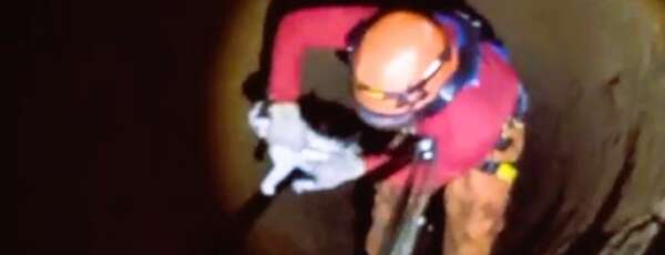 CBMCE resgata gato de cacimba em Fortaleza