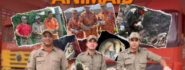 Dia dos animais: celebrando a vida e a diversidade no Ceará