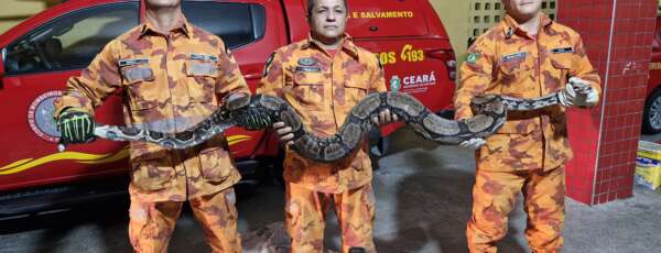 resgate de serpentes CBMCE