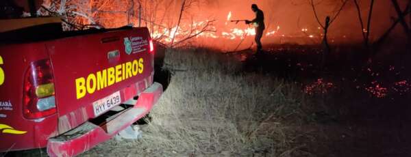 Corpo de Bombeiros combateu 481 incêndios em vegetação no primeiro semestre de 2025