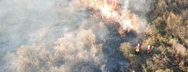 Corpo de Bombeiros apagou 876 incêndios em vegetação em 2025