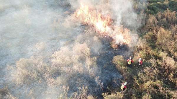 Corpo de Bombeiros apagou 876 incêndios em vegetação em 2025