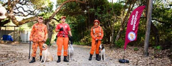Ceará recebe provas da Certificação Nacional de Cães de Resgate