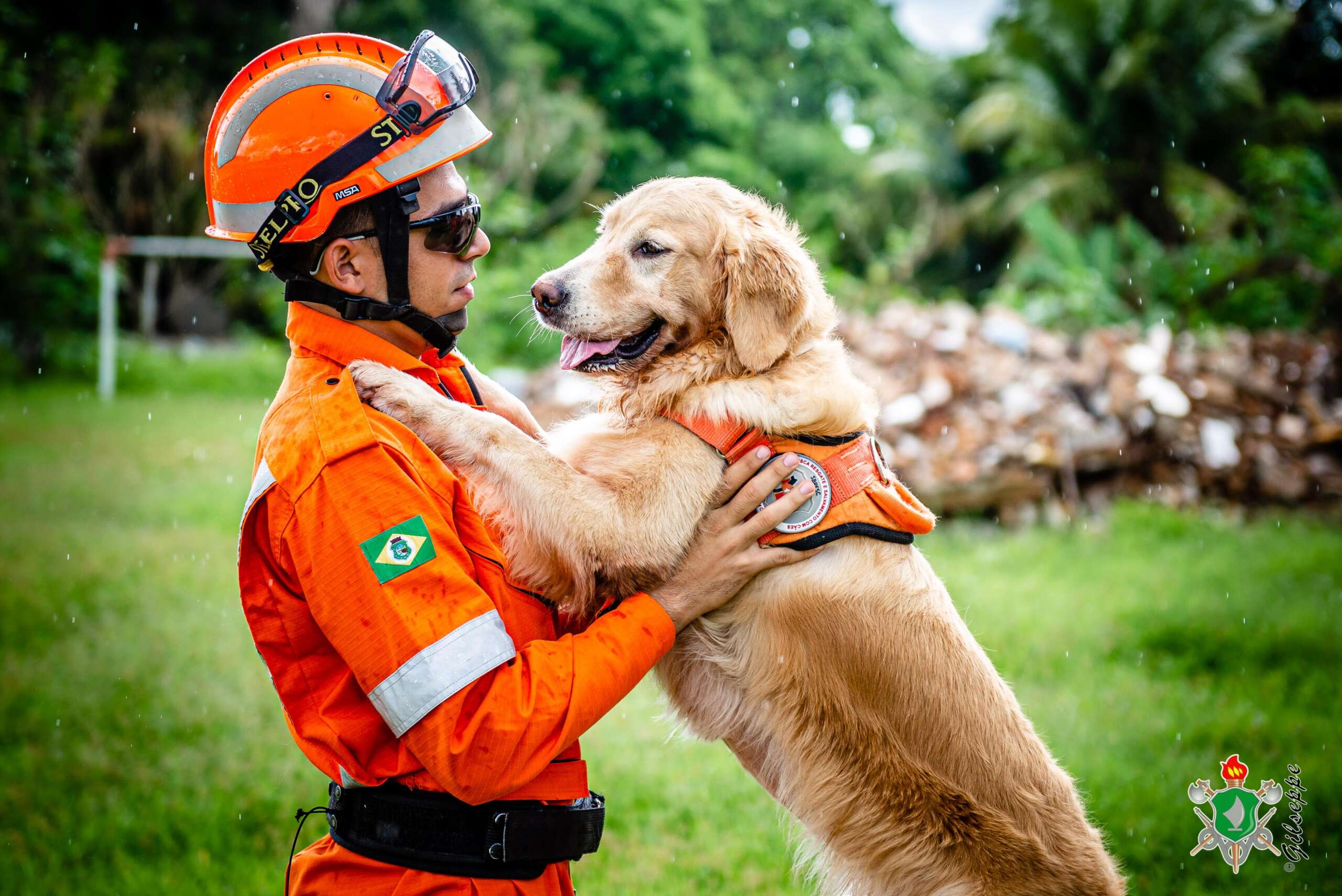 CBMCE celebra o Dia do Cachorreiro