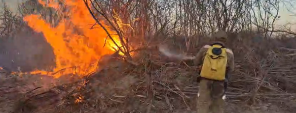 incêndio em vegetação